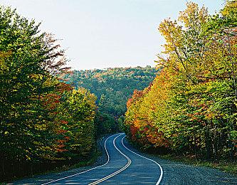 《真女神转生5》恶魔介绍：北欧神话女神伊登